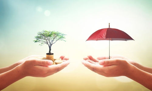 Conceptual image of an endowment plan shows hands carrying potted plant and red umbrella.