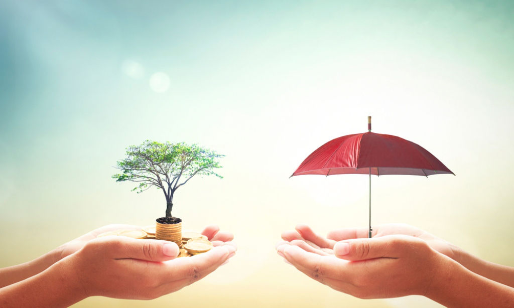 Conceptual image of an endowment plan shows hands carrying potted plant and red umbrella